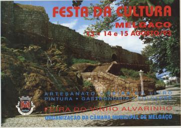 Cartaz da festa de 1993